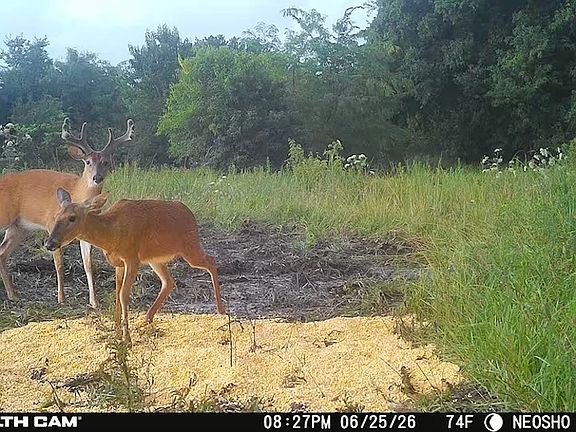 3rd image of 22250 Wallace Rd