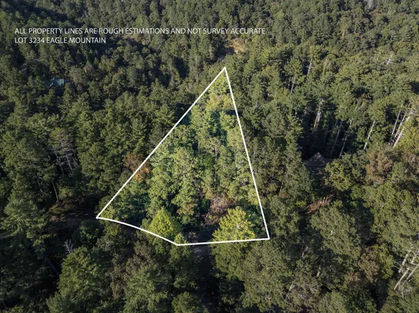 LOT 3234 Eagle Mountain, Ellijay, GA 30536