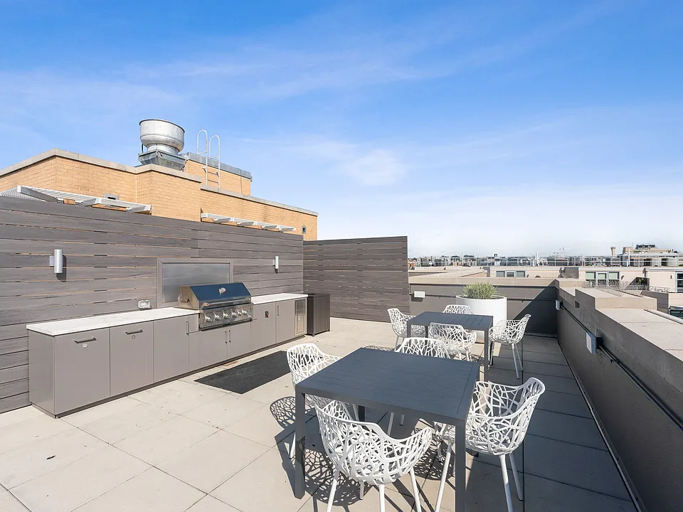 Newly renovated rooftop with grill