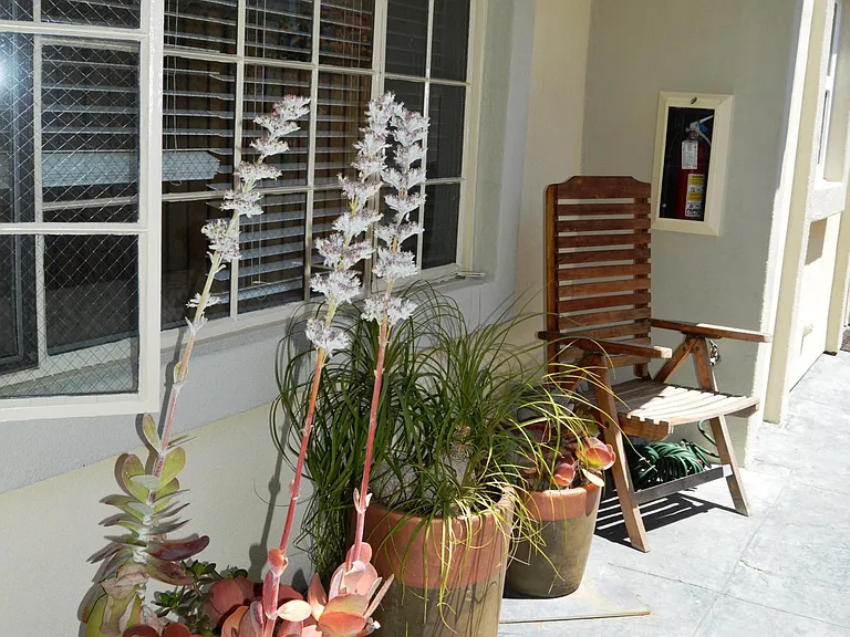 4057 Brant St #5 — Photo 14