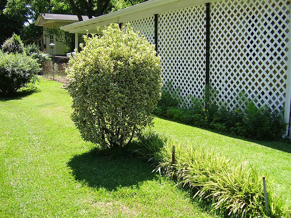 2nd image of 411 19th St