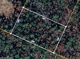 Lower Smithfield Rd, Tellico Plains, TN 37385