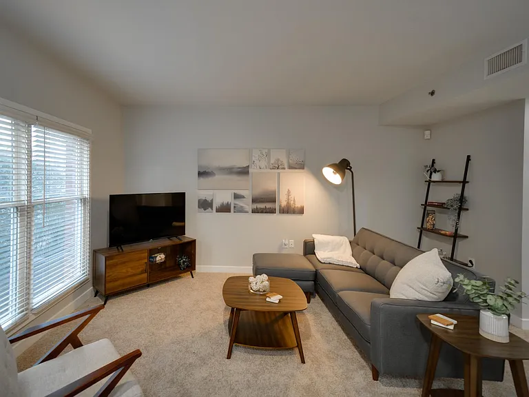 515 E Capitol Ave #207 — Photo 7