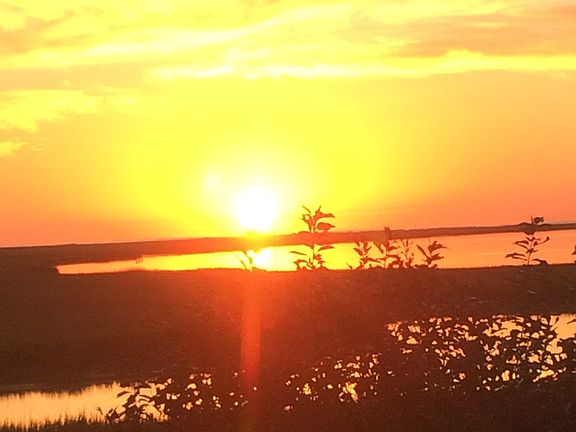 Good morning Metompkin View!