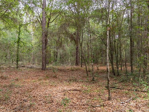 3rd image of 7688 W Crystal River Pl