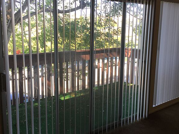 Living room looks out on patio