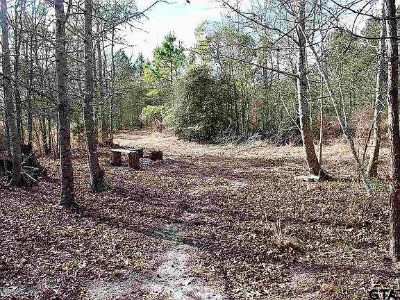 2nd image of County Road 3597
