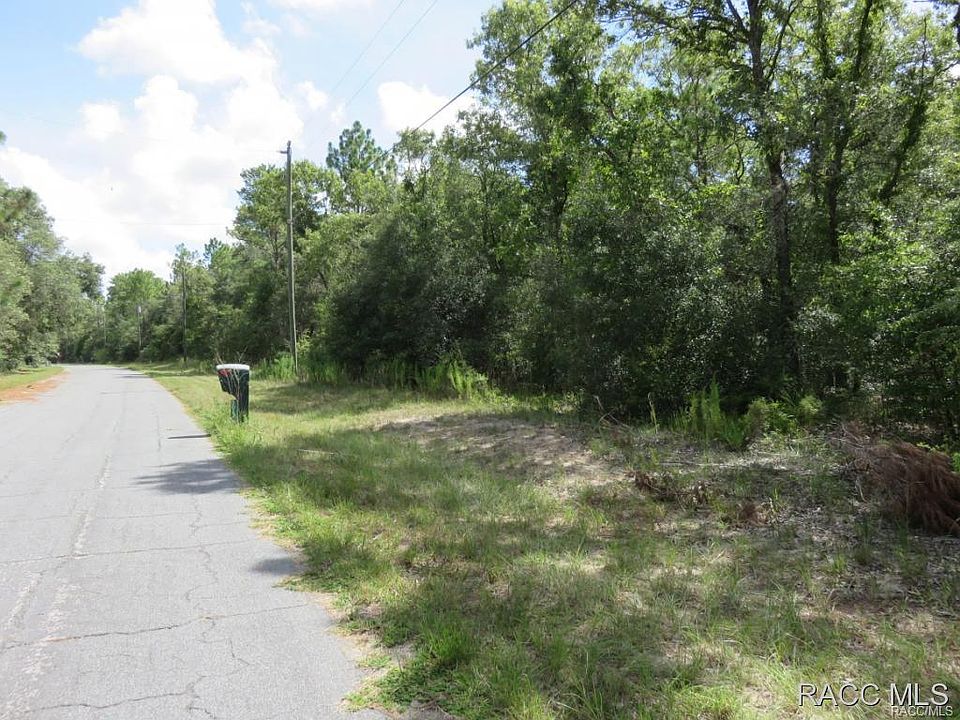 2nd image of 10647 N Hatari Dr