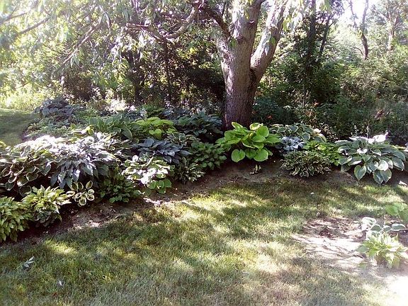 3rd image of 990 Winesap Dr