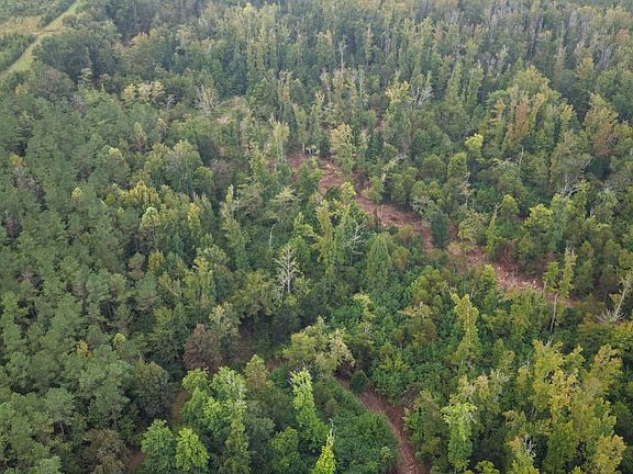 Dji Fly 20260923 081006 0641 1790173489454 Photo