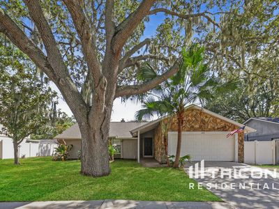 1425 Corner Oaks Dr, Brandon, FL, 33510