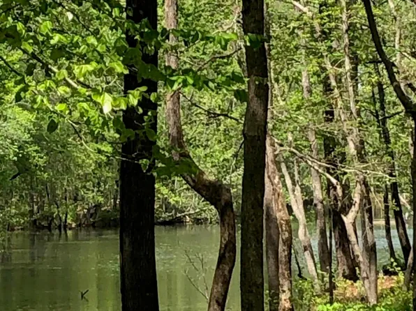 910 State Highway 902 #2, Pittsboro, NC 27312