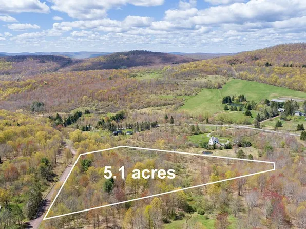 0 Ford Rd, Bovina Center, NY 13740