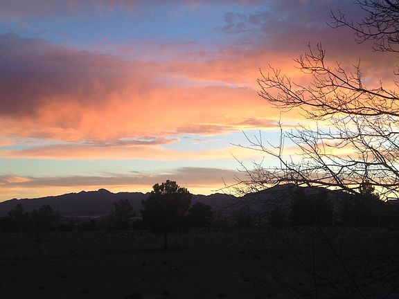 VIEW OUT THE BACK PATIO