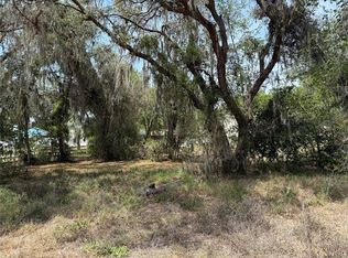 Vacant Land Northwest Trl #8, Lake Panasoffkee, FL 33538