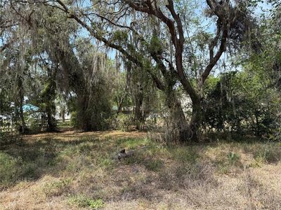 Vacant Land Northwest Trl #8, Lake Panasoffkee, FL, 33538