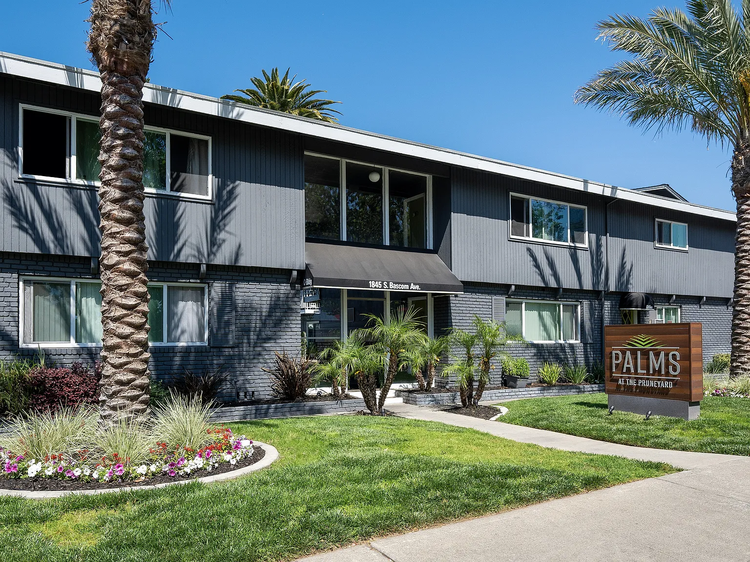 Palms at the Pruneyard — Photo 2