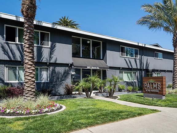 Palms FRONT2 (1)