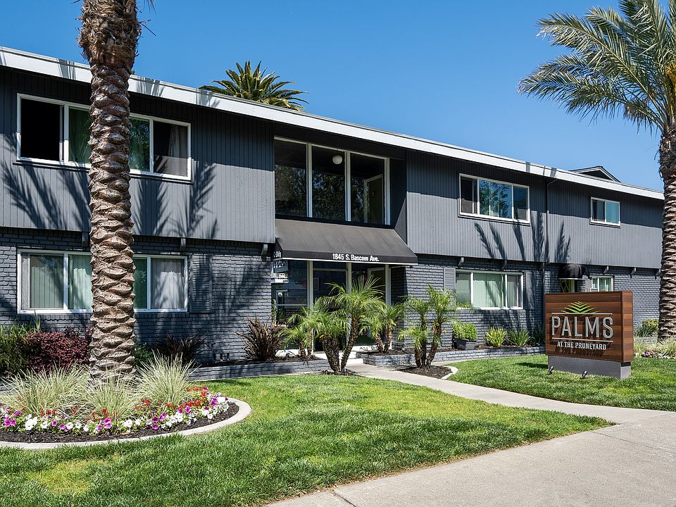 Palms FRONT2 (1)