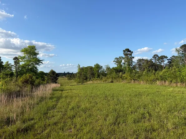 8 Acres Hwy E #48, Sandy Hook, MS 39478