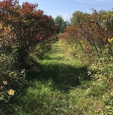 4th image of 58779 County Road 384