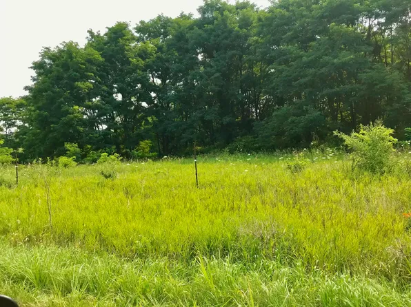 Buckhorn Rd Lot J, Three Rivers, MI 49093