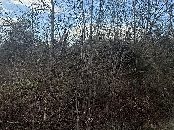 5th image of Friends Station Rd #44-030.01