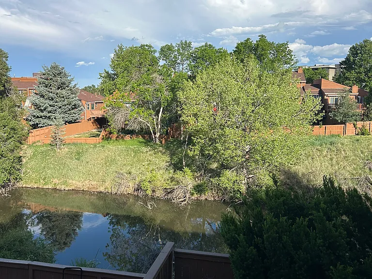 View from Dining room