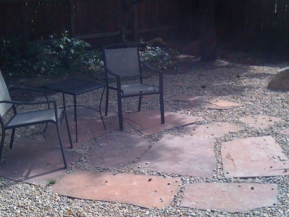 newly landscaped backyard