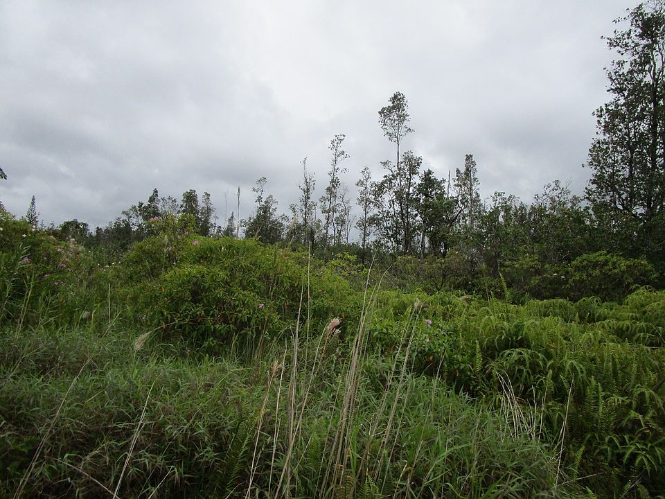 2nd image of Macadamia Dr Lot 34