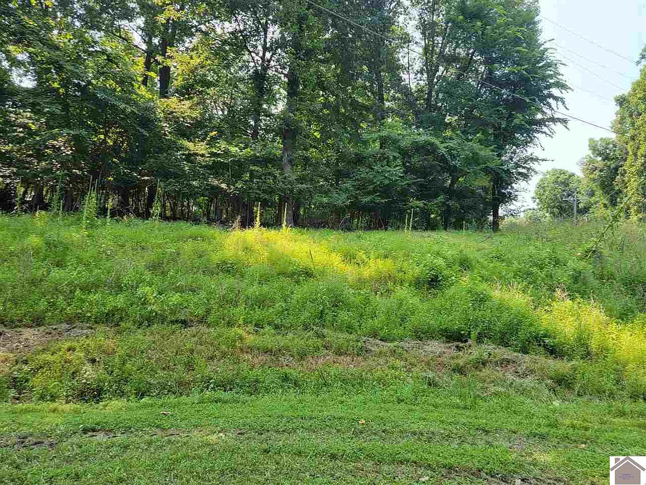 00 Indian Hills Trl, Eddyville, KY 42038 MLS 113372 Zillow