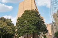 15th St-S1209-001.jpg