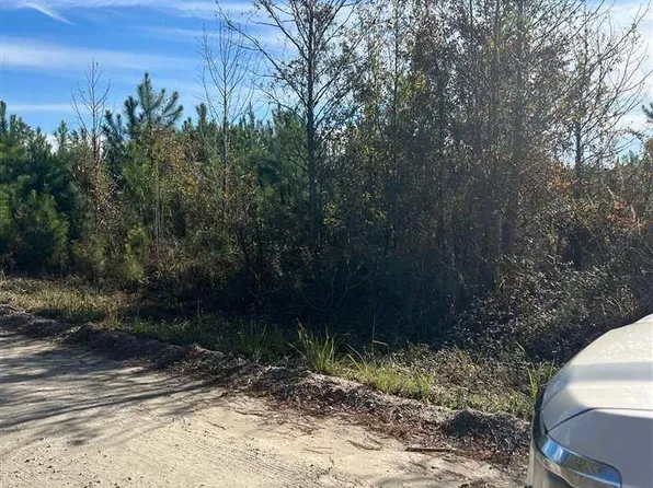 Cubie Rd, Effingham, SC 29541