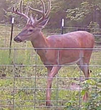 5th image of 1530 Old Middleton Rd