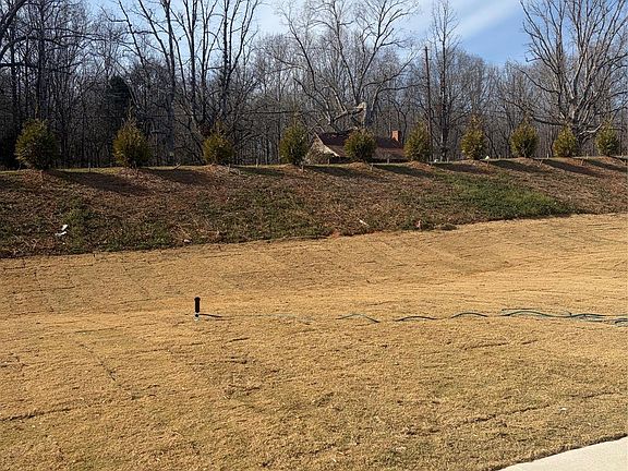 Flat spacious backyard
