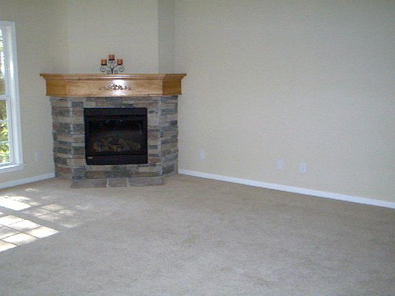 Electric Fireplace