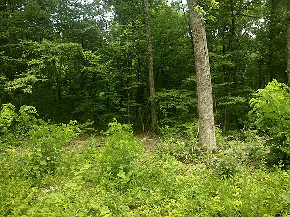 3rd image of 0 McIntire Ln