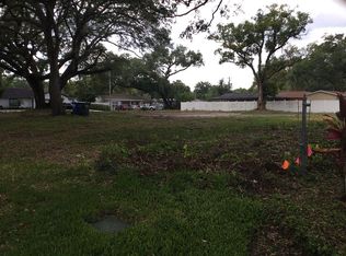 6401 Felice Ave, Tampa, FL 33614