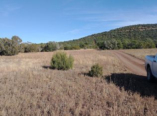 91 County Road 3319 N, Vernon, AZ 85940