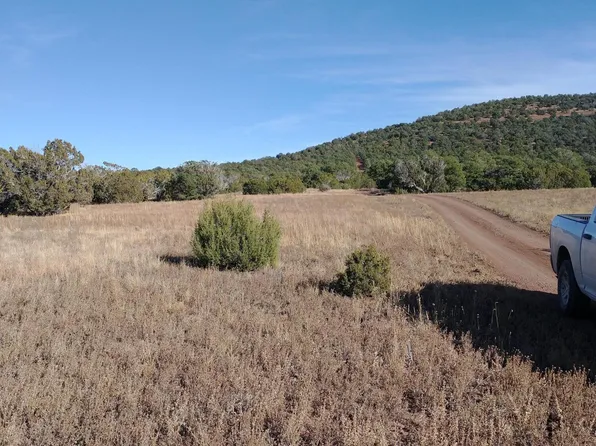 91 County Road 3319 N, Vernon, AZ 85940