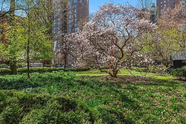 Sold by Douglas Elliman | media 9