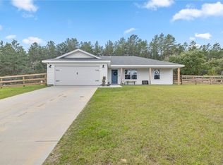 21600 NE 133rd St, Salt Springs, FL 32134