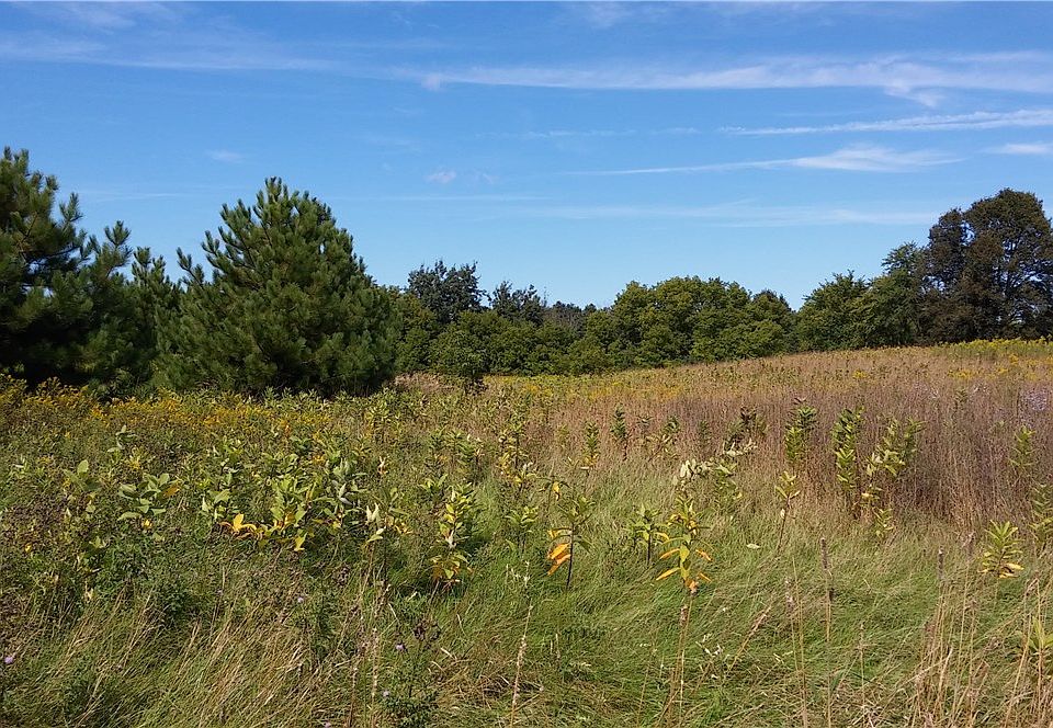 1st image of 0 (Lot 8) Chicago Junction Road
