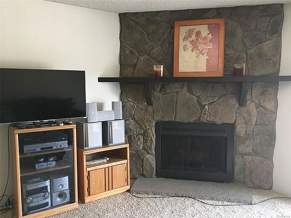 Wood-burning fireplace