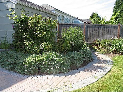 brick path and patio in the back yard.