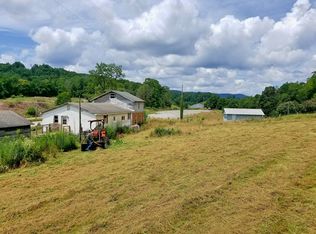 3454 Point Mountain Rd, Valley Head, WV 26294