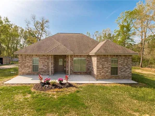 29520 Henry White Rd, Albany, LA 70711