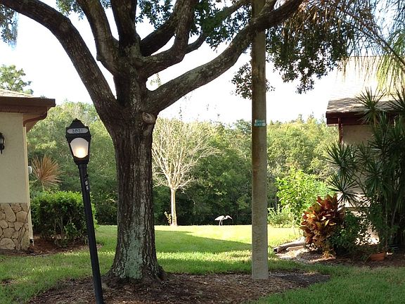 view between condos