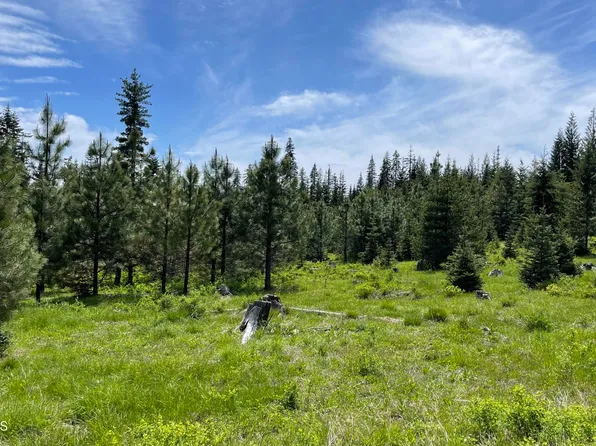 Nka Elderberry Dr Parcel 10, Orofino, ID 83544