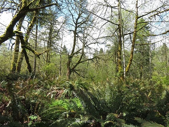 2nd image of 0 XXX Dmilluhr Road NE